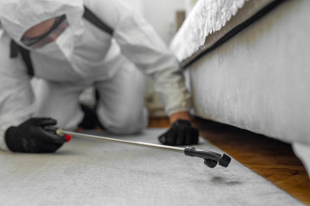 Professional Bed Bug Control technician working in Gates County County, NC